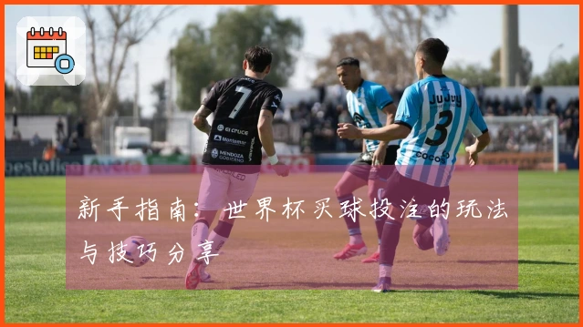 新手指南：世界杯买球投注的玩法与技巧分享