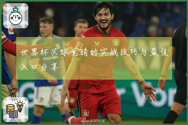 世界杯买球竞猜的实战技巧与最佳入口分享