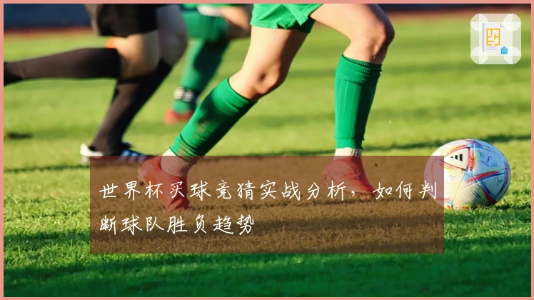 世界杯买球竞猜实战分析，如何判断球队胜负趋势
