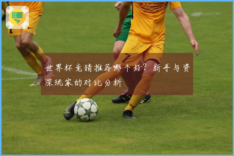 世界杯竞猜推荐哪个好？新手与资深玩家的对比分析