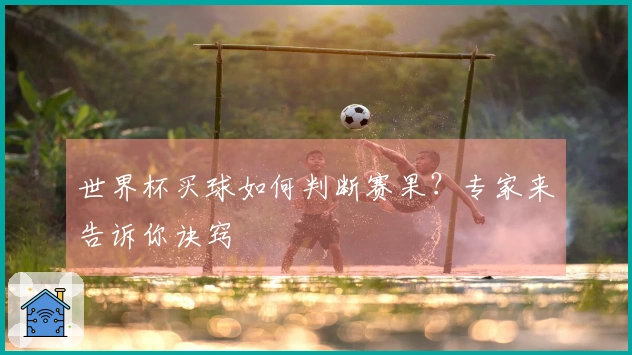 世界杯买球如何判断赛果？专家来告诉你诀窍
