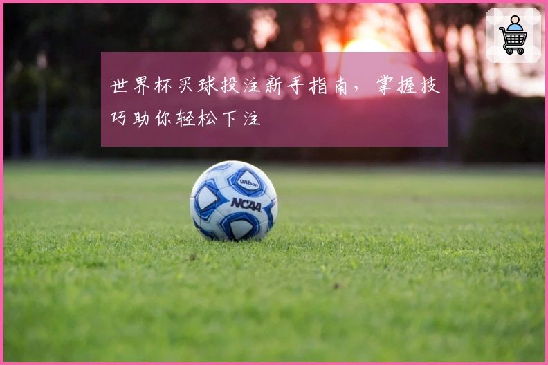 世界杯买球投注新手指南，掌握技巧助你轻松下注