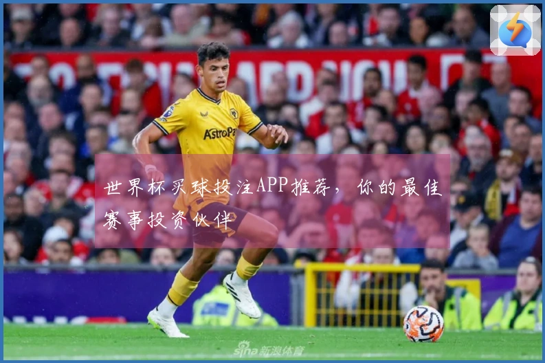 世界杯买球投注APP推荐，你的最佳赛事投资伙伴