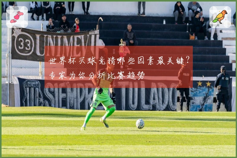 世界杯买球竞猜哪些因素最关键？专家为你分析比赛趋势