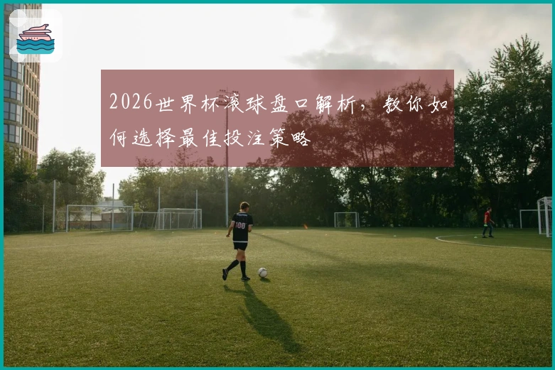 2026世界杯滚球盘口解析，教你如何选择最佳投注策略