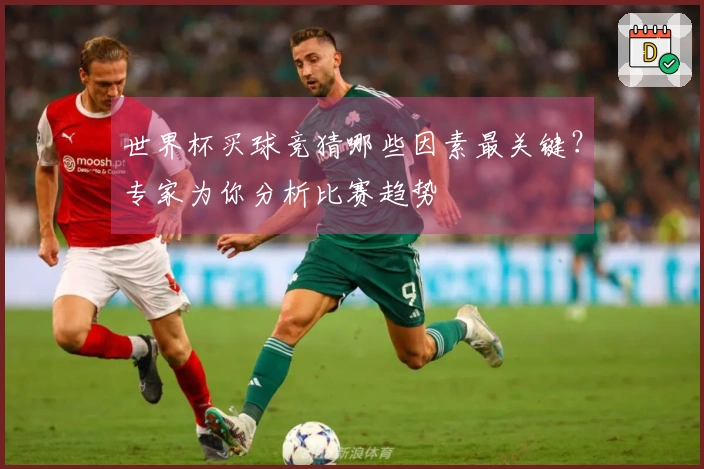 世界杯买球竞猜哪些因素最关键？专家为你分析比赛趋势