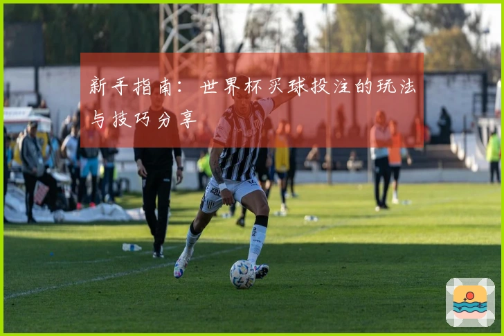 新手指南：世界杯买球投注的玩法与技巧分享