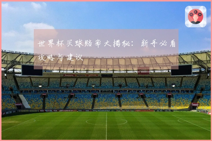 世界杯买球赔率大揭秘：新手必看攻略与建议