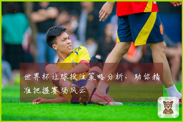 世界杯让球投注策略分析，助你精准把握赛场风云