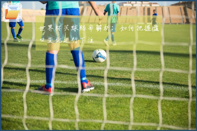 世界杯买球赔率解析：如何把握盘口变化进行下注
