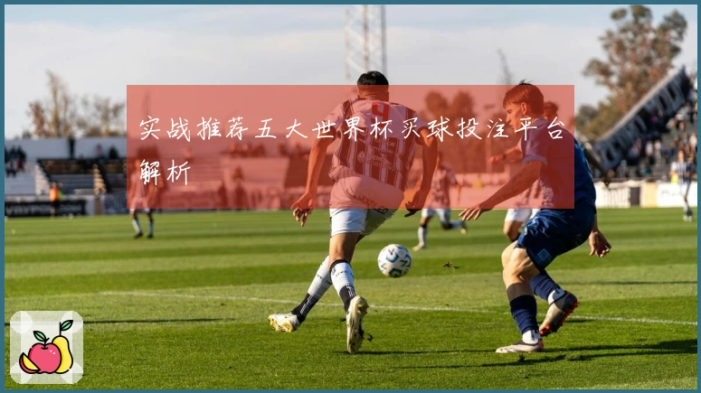 实战推荐五大世界杯买球投注平台解析