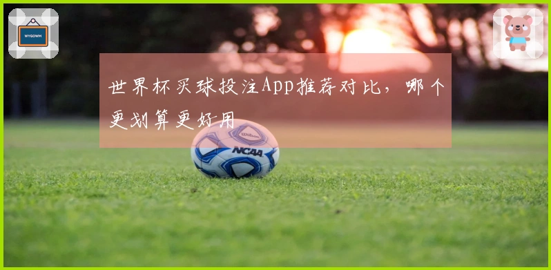 世界杯买球投注App推荐对比，哪个更划算更好用
