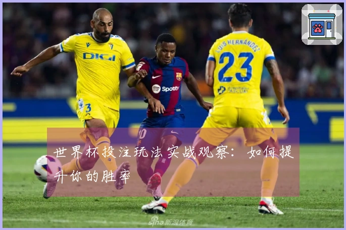 世界杯投注玩法实战观察：如何提升你的胜率