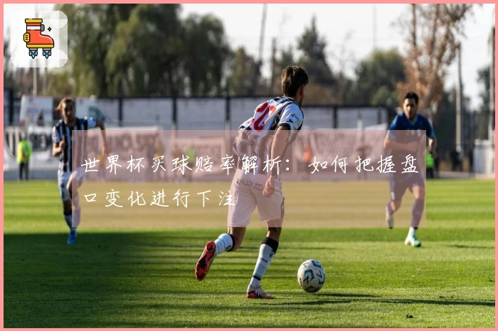 世界杯买球赔率解析：如何把握盘口变化进行下注