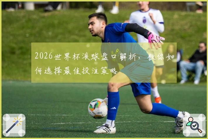 2026世界杯滚球盘口解析，教你如何选择最佳投注策略