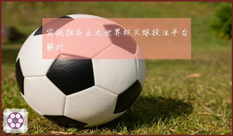 实战推荐五大世界杯买球投注平台解析