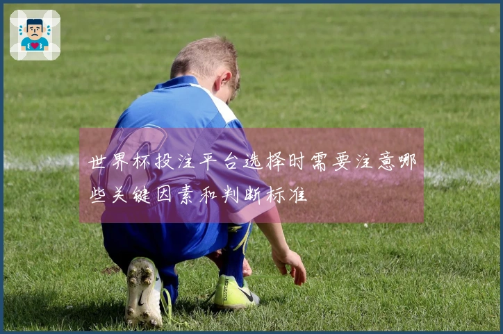 世界杯投注平台选择时需要注意哪些关键因素和判断标准