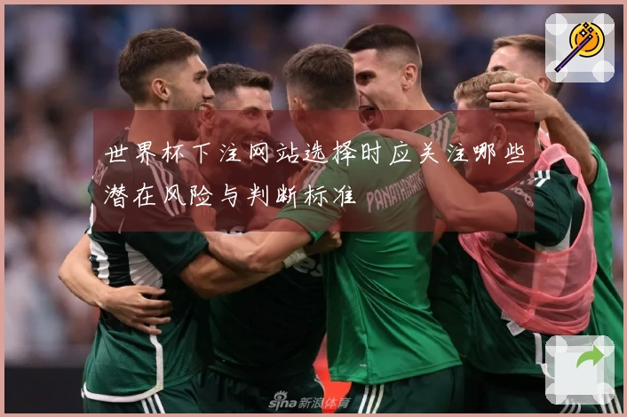 世界杯下注网站选择时应关注哪些潜在风险与判断标准