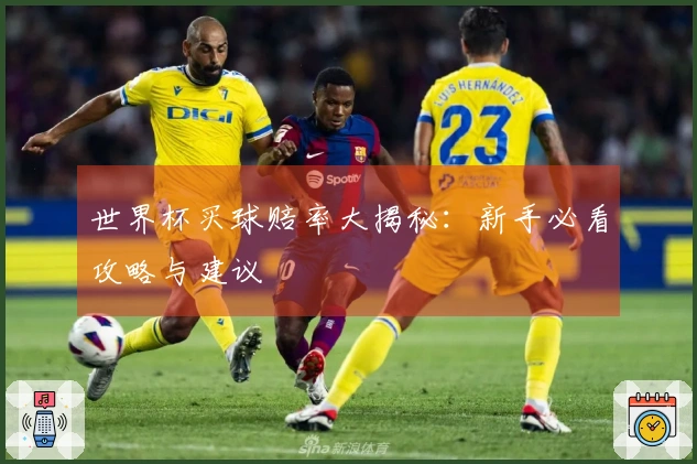 世界杯买球赔率大揭秘：新手必看攻略与建议