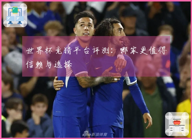 世界杯竞猜平台评测：哪家更值得信赖与选择