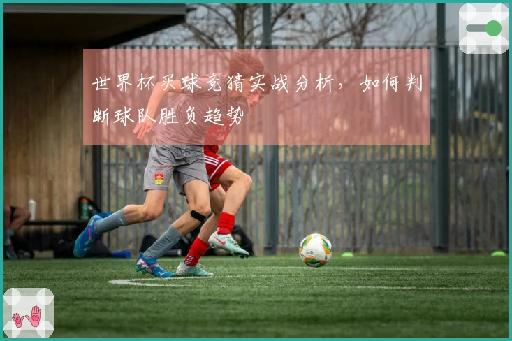 世界杯买球竞猜实战分析，如何判断球队胜负趋势